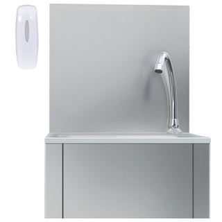 Hand Wash Sink with Faucet and Soap Dispenser Stainless Steel - Giant Lobelia