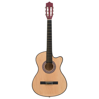 12 Piece Western Acoustic Cutaway Guitar Set with 6 Strings 38 - Giant Lobelia