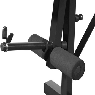 Weight Bench Black - Giant Lobelia