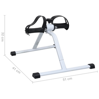 Cardio Mini Cycle Exercise Bike - Giant Lobelia