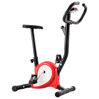 vidaXL Exercise Bike with Belt Resistance Red - Giant Lobelia