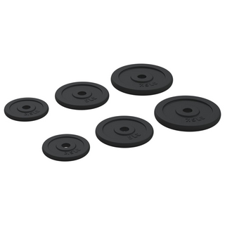 Weight Plates 6 pcs 30 kg Cast Iron - Giant Lobelia