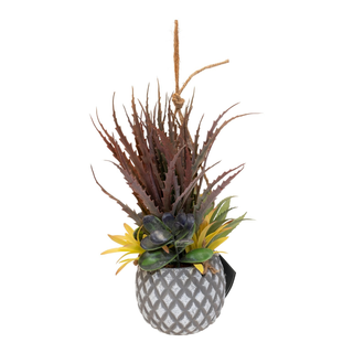 Hanging Succulents in Lattice Design Small Grey Pot - Giant Lobelia