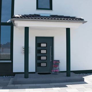 Front Door Anthracite 100x200 cm Aluminium and PVC - Giant Lobelia