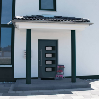 Front Door Anthracite 100x200 cm Aluminium and PVC - Giant Lobelia