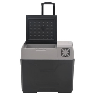 vidaXL Cool Box with Wheel and Adapter Black&Grey 50 L Polypropylene - Giant Lobelia