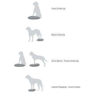 FitPAWS Pet Balance Disc 36 cm Razzleberry - Giant Lobelia