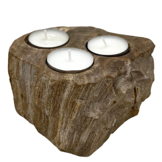 Petrified Wood Candle Holder - Triple - Giant Lobelia