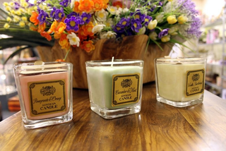 Soybean Candles - Pomegranate & Orange - Giant Lobelia