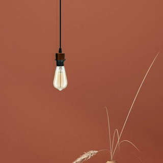 2Pack Rustic Red Pendant Light,E27 Lamp Holder Hanging Light,PVC Cable~4228 - Giant Lobelia