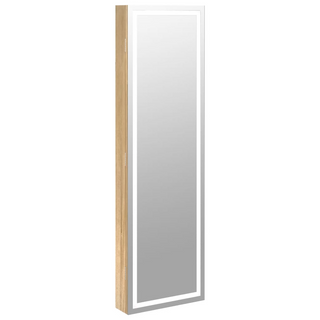 Mirror Jewellery Cabinet with LED Lights Wall Mounted - Giant Lobelia