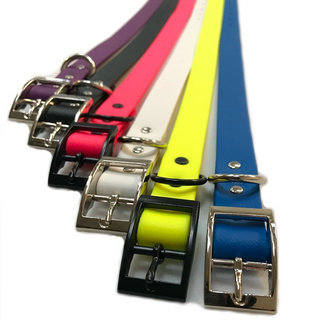 Waterproof Webbing Dog Collar - Giant Lobelia