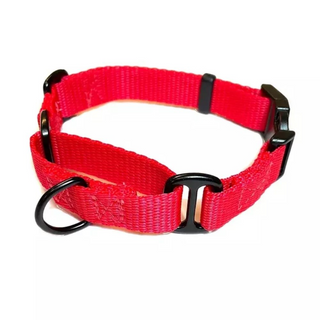 Martingale Dog Collar - Giant Lobelia