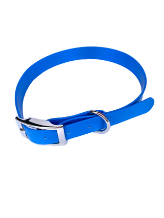 Waterproof Webbing Dog Collar - Giant Lobelia