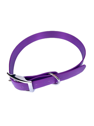 Waterproof Webbing Dog Collar - Giant Lobelia