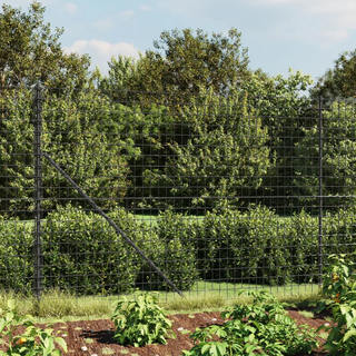 Wire Mesh Fence with Flange Anthracite 2x25 m - Giant Lobelia