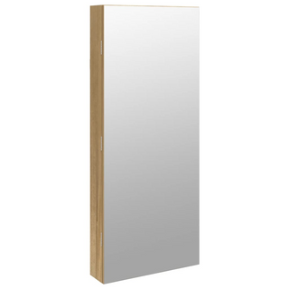 Mirror Jewellery Cabinet with LED Lights Wall Mounted - Giant Lobelia