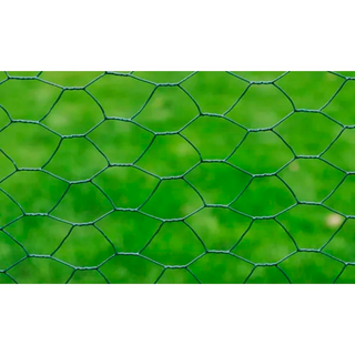 Chicken Wire Fence Galvanised with PVC Coating 25x1 m Green - Giant Lobelia