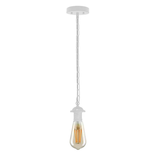 Single ceiling pendant light E27 base hanging chain light~ 5128 - Giant Lobelia