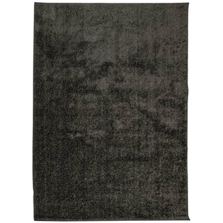 Rug ISTAN High Pile Shiny Look Anthracite 240x340 cm - Giant Lobelia