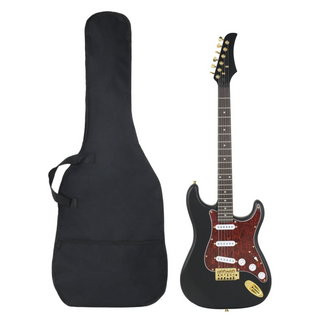 vidaXL Electric Guitar for Beginner with Bag Black and Gold 4/4 39" - Giant Lobelia