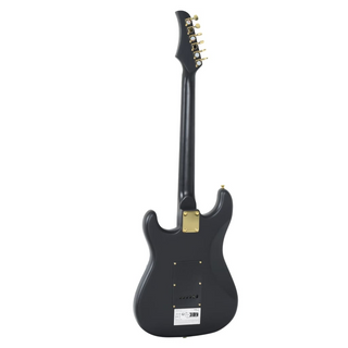 vidaXL Electric Guitar for Beginner with Bag Black and Gold 4/4 39" - Giant Lobelia