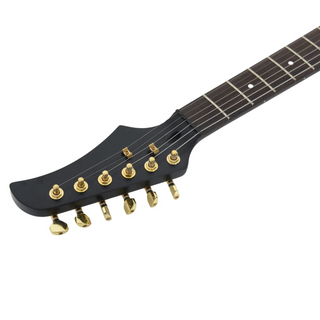 vidaXL Electric Guitar for Beginner with Bag Black and Gold 4/4 39" - Giant Lobelia