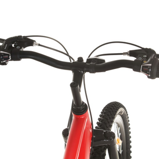 vidaXL Mountain Bike 21 Speed 29 inch Wheel 53 cm Frame Red - Giant Lobelia