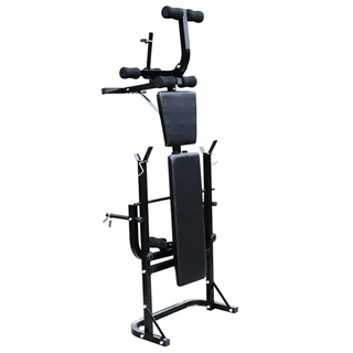 Weight Bench with Weight Rack, Barbell and Dumbbell Set 60.5kg - Giant Lobelia