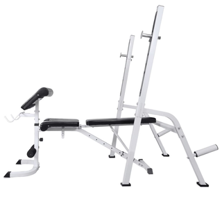 Workout Bench with Weight Rack, Barbell and Dumbbell Set 60.5kg - Giant Lobelia