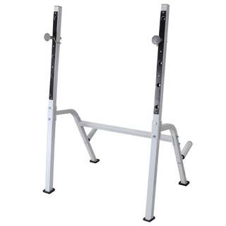 Workout Bench with Weight Rack, Barbell and Dumbbell Set 60.5kg - Giant Lobelia