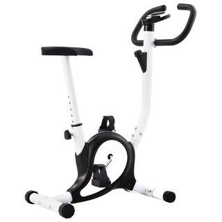 vidaXL Exercise Bike with Belt Resistance Black - Giant Lobelia