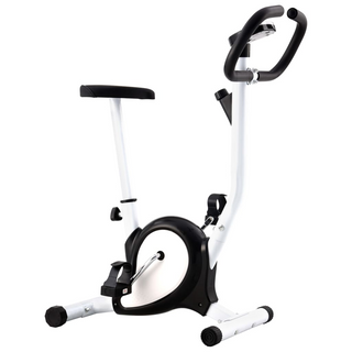 vidaXL Exercise Bike with Belt Resistance Black - Giant Lobelia