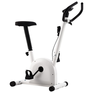 vidaXL Exercise Bike with Belt Resistance White - Giant Lobelia