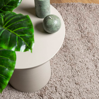 vidaXL Shaggy Rug PAMPLONA High Pile Modern Beige 200x280 cm - Giant Lobelia