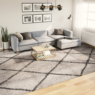 Shaggy Rug PAMPLONA High Pile Modern Beige and Anthracite 300x400 cm - Giant Lobelia