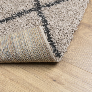 Shaggy Rug PAMPLONA High Pile Modern Beige and Anthracite 240x240 cm - Giant Lobelia