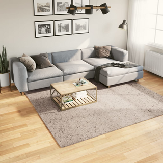 Shaggy Rug PAMPLONA High Pile Modern Beige 240x240 cm - Giant Lobelia