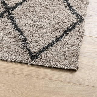 Shaggy Rug PAMPLONA High Pile Modern Beige and Anthracite 240x240 cm - Giant Lobelia