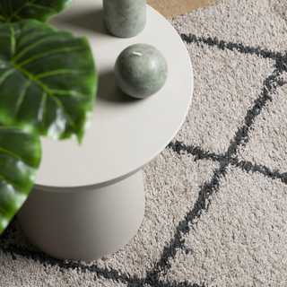 Shaggy Rug PAMPLONA High Pile Modern Beige and Anthracite 240x240 cm - Giant Lobelia