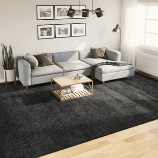 vidaXL Shaggy Rug High Pile Modern Anthracite 300x400 cm - Giant Lobelia