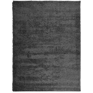 vidaXL Shaggy Rug High Pile Modern Anthracite 300x400 cm - Giant Lobelia