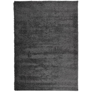 vidaXL Shaggy Rug High Pile Modern Anthracite 240x340 cm - Giant Lobelia