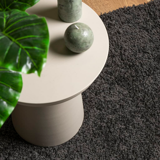 vidaXL Shaggy Rug High Pile Modern Anthracite 240x340 cm - Giant Lobelia