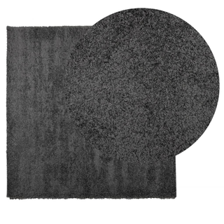 vidaXL Shaggy Rug High Pile Modern Anthracite 200x200 cm - Giant Lobelia