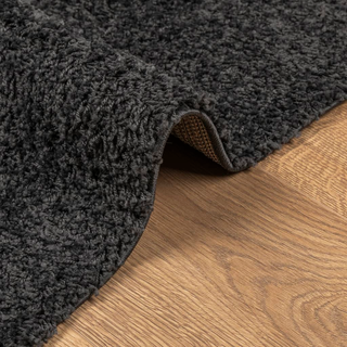 vidaXL Shaggy Rug High Pile Modern Anthracite 160x230 cm - Giant Lobelia