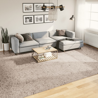 vidaXL Shaggy Rug High Pile Modern Beige 300x400 cm - Giant Lobelia