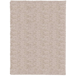 vidaXL Shaggy Rug High Pile Modern Beige 300x400 cm - Giant Lobelia