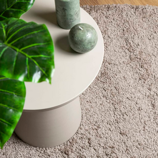 vidaXL Shaggy Rug High Pile Modern Beige 300x400 cm - Giant Lobelia