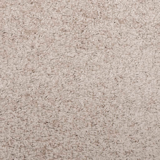 vidaXL Shaggy Rug High Pile Modern Beige 300x400 cm - Giant Lobelia